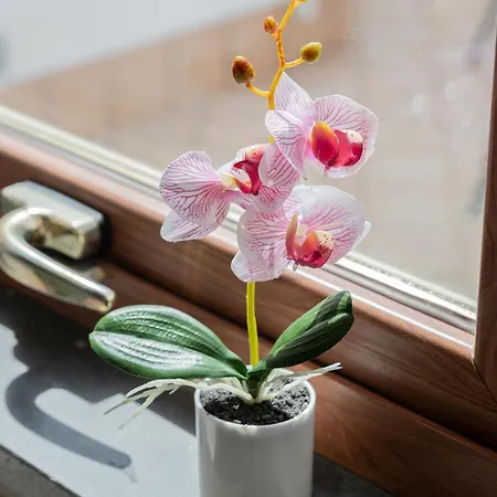 Ziro House Apartamento