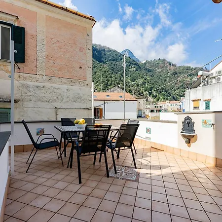 Apartment Ziro House