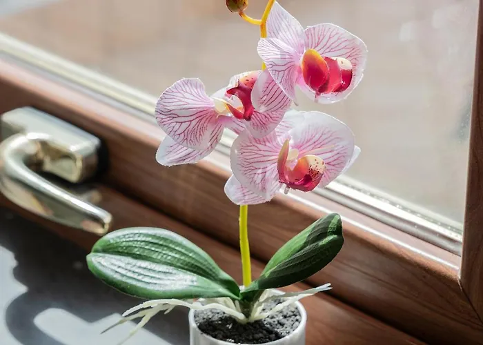 Ziro House 아파트